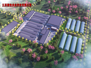 鵪鶉住上“智能公寓” 數智養殖助力鄉村振興--泰興順牧農業